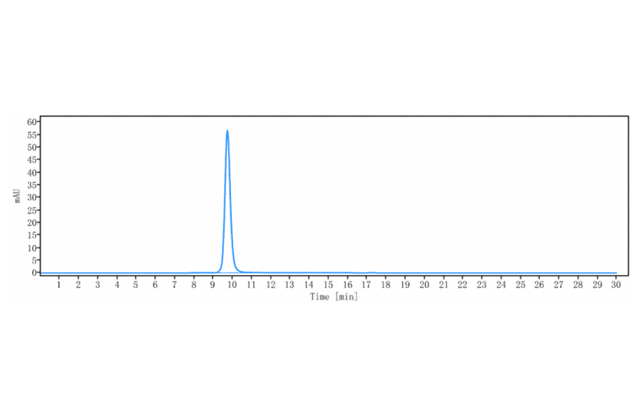 SEC-HPLC - Siltuximab Biosimilar - Anti-IL-6 Antibody - Low endotoxin, Azide free (A323736) - Antibodies.com