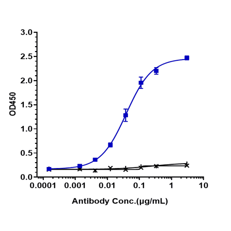 ELISA - Simtuzumab Biosimilar - Anti-LOXL2 Antibody - Low endotoxin, Azide free (A323737) - Antibodies.com