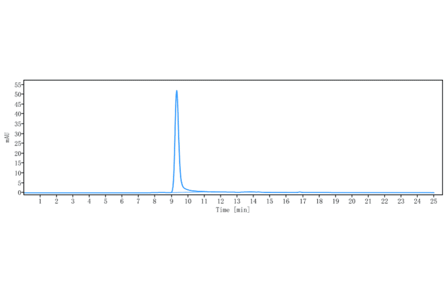 SEC-HPLC - Siplizumab Biosimilar - Anti-CD2 Antibody - Low endotoxin, Azide free (A323739) - Antibodies.com