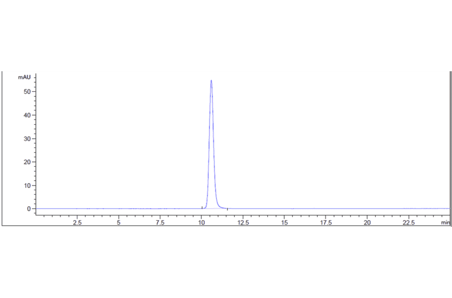 SEC-HPLC - Sirukumab Biosimilar - Anti-IL-6 Antibody - Low endotoxin, Azide free (A323742) - Antibodies.com