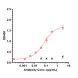 ELISA - Sirukumab Biosimilar - Anti-IL-6 Antibody - Low endotoxin, Azide free (A323742) - Antibodies.com