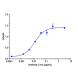 ELISA - Solanezumab Biosimilar - Anti-beta Amyloid Antibody - Low endotoxin, Azide free (A323745) - Antibodies.com