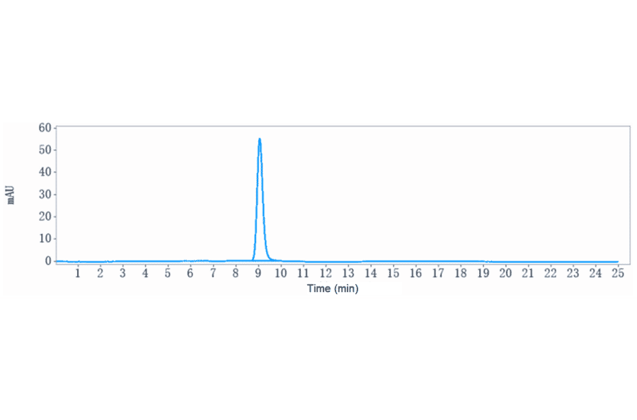 SEC-HPLC - Sonepcizumab Biosimilar - Anti-SGPP1 Antibody - Low endotoxin, Azide free (A323746) - Antibodies.com