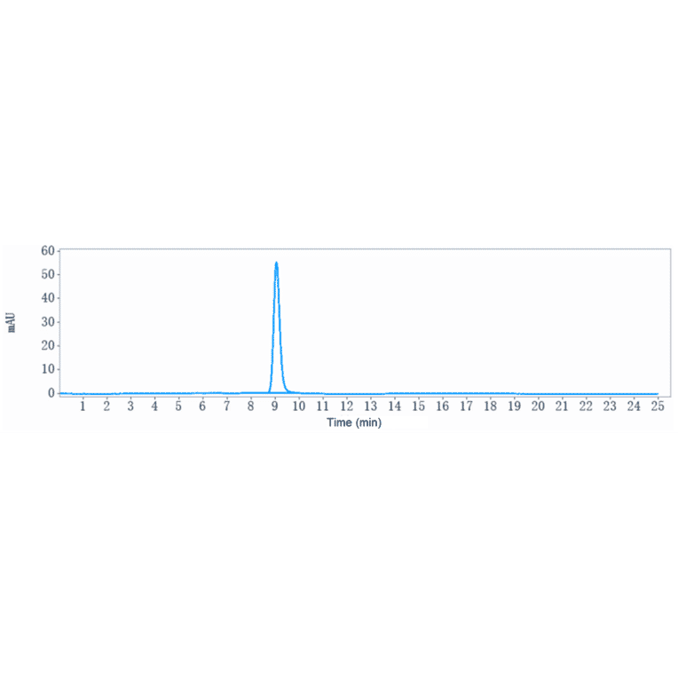 SEC-HPLC - Sonepcizumab Biosimilar - Anti-SGPP1 Antibody - Low endotoxin, Azide free (A323746) - Antibodies.com