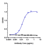 ELISA - Spartalizumab Biosimilar - Anti-PD1 Antibody - Low endotoxin, Azide free (A323748) - Antibodies.com
