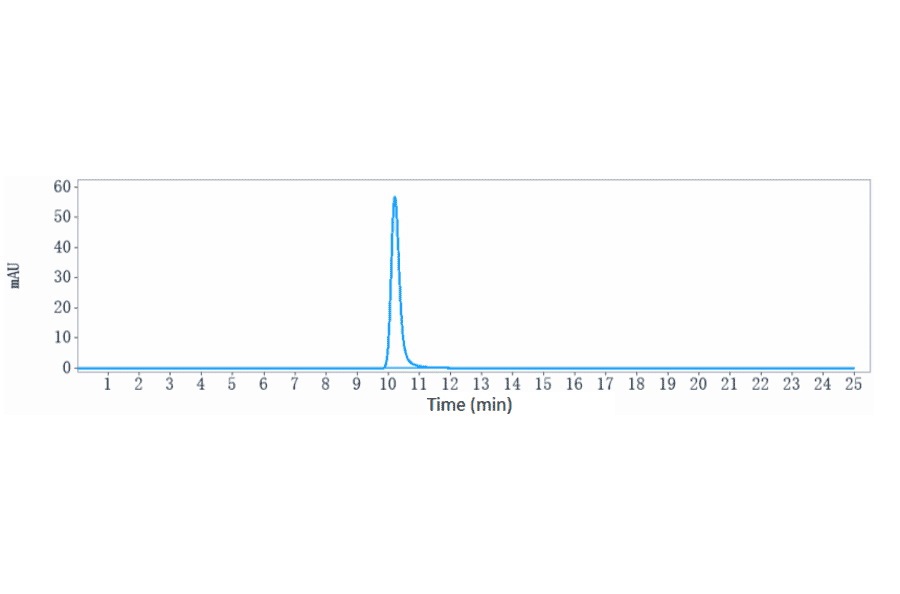 SEC-HPLC - Spesolimab Biosimilar - Anti-IL-36R Antibody - Low endotoxin, Azide free (A323749) - Antibodies.com