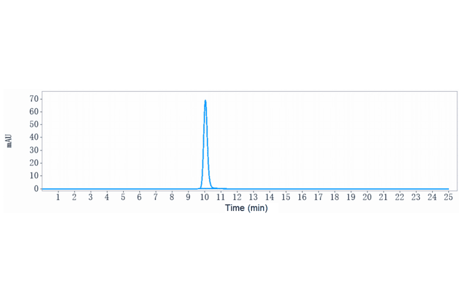 SEC-HPLC - Sugemalimab Biosimilar - Anti-PD-L1 Antibody - Low endotoxin, Azide free (A323751) - Antibodies.com