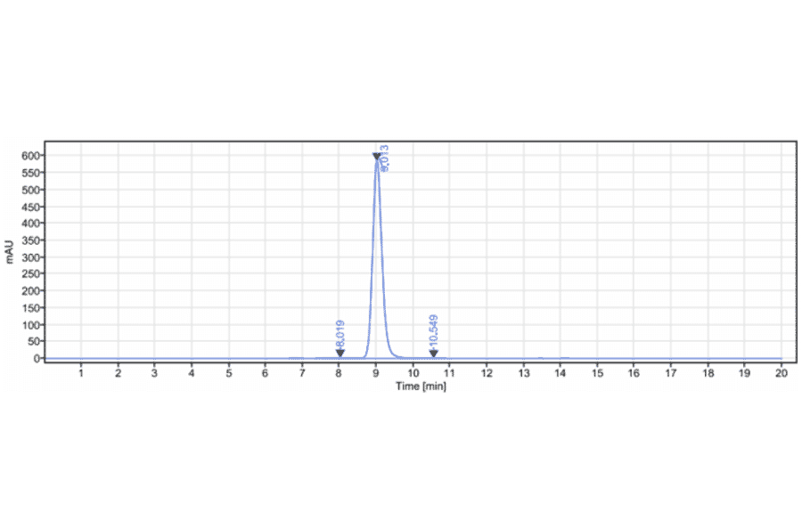 SEC-HPLC - Tafasitamab Biosimilar - Anti-CD19 Antibody - Low endotoxin, Azide free (A323756) - Antibodies.com