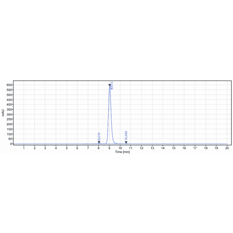 SEC-HPLC - Tafasitamab Biosimilar - Anti-CD19 Antibody - Low endotoxin, Azide free (A323756) - Antibodies.com
