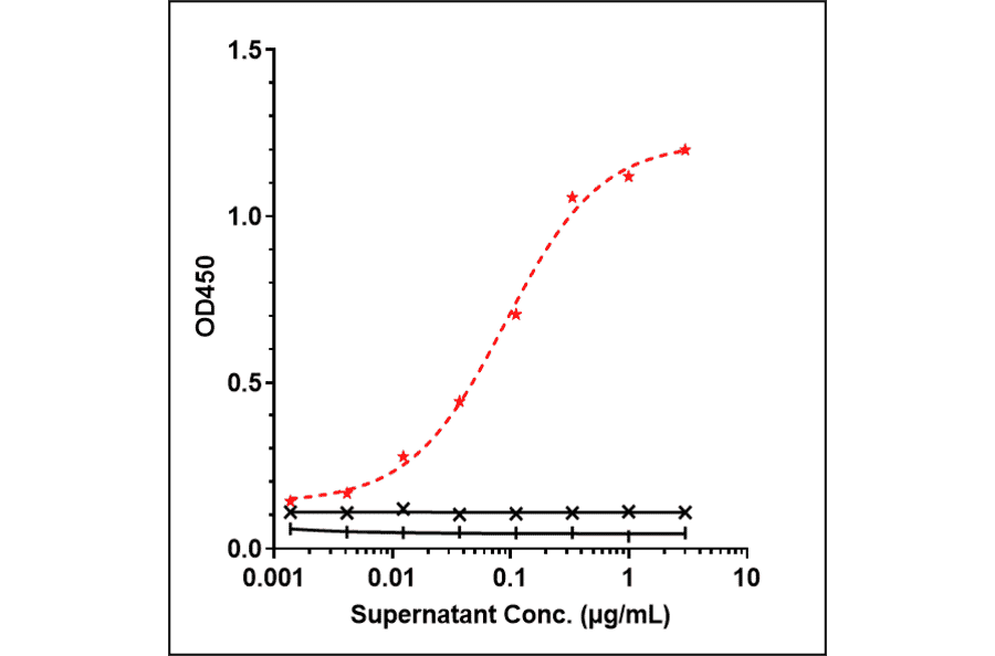 ELISA - Tafasitamab Biosimilar - Anti-CD19 Antibody - Low endotoxin, Azide free (A323756) - Antibodies.com