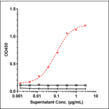 ELISA - Tafasitamab Biosimilar - Anti-CD19 Antibody - Low endotoxin, Azide free (A323756) - Antibodies.com