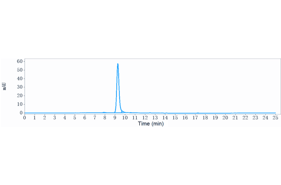 SEC-HPLC - Talquetamab Biosimilar - Anti-GPCR GPRC5D Antibody - Low endotoxin, Azide free (A323761) - Antibodies.com