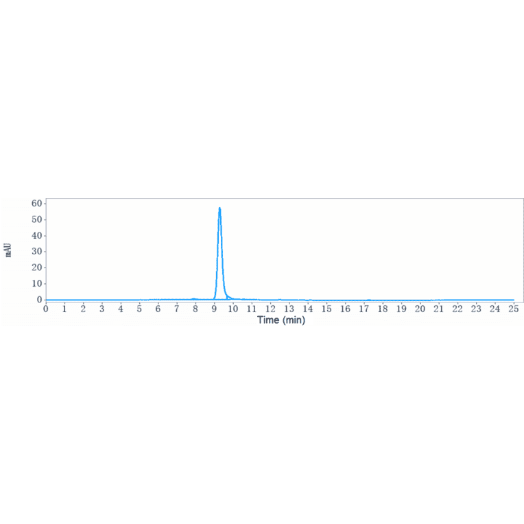 SEC-HPLC - Talquetamab Biosimilar - Anti-GPCR GPRC5D Antibody - Low endotoxin, Azide free (A323761) - Antibodies.com