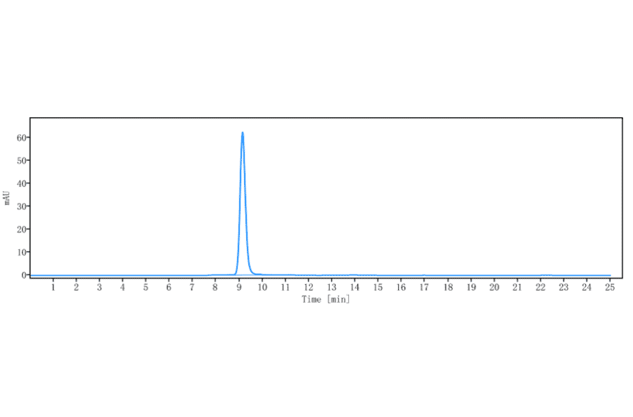 SEC-HPLC - Tarextumab Biosimilar - Anti-Notch3 Antibody - Low endotoxin, Azide free (A323765) - Antibodies.com