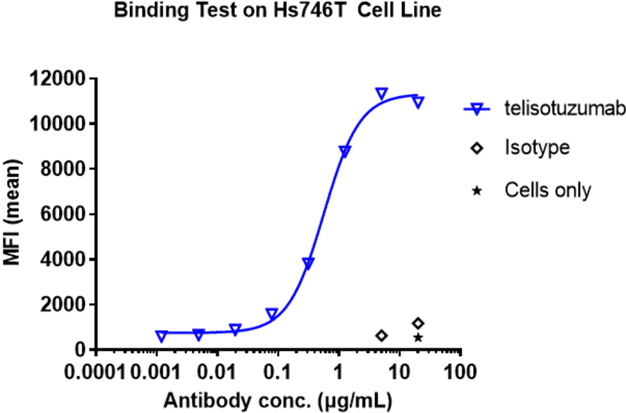 Mean fluorescence intensity (MFI) of Hs746T cells stained with different concentrations of Telisotuzumab Biosimilar - Anti-Met (c-Met) Antibody - A323770