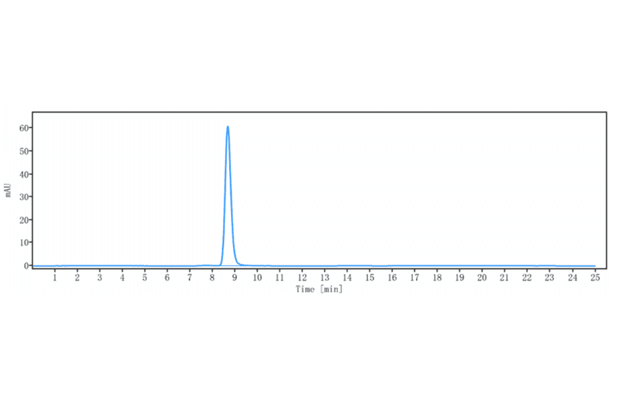 SEC-HPLC - Tenatumomab Biosimilar - Anti-Tenascin C Antibody - Low endotoxin, Azide free (A323771) - Antibodies.com