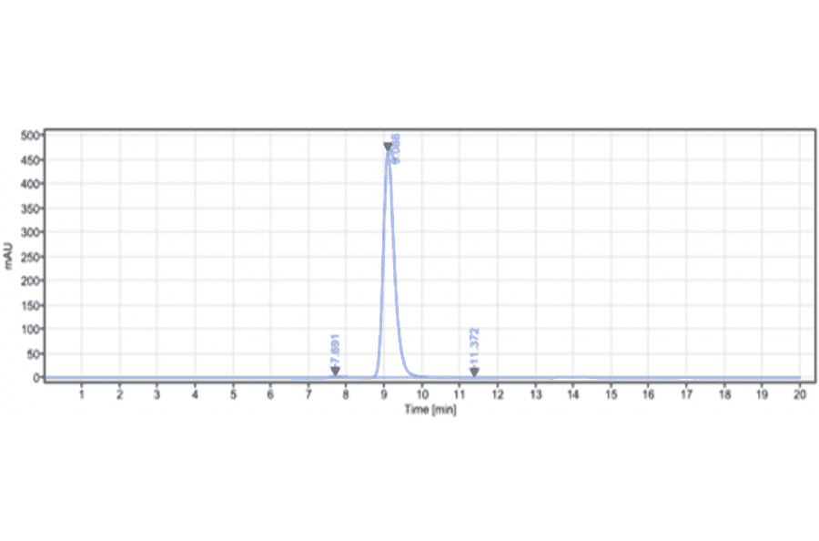 SEC-HPLC - Tepoditamab Biosimilar - Anti-CLEC12A Antibody - Low endotoxin, Azide free (A323773) - Antibodies.com