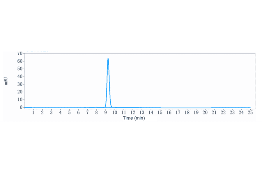 SEC-HPLC - Tesidolumab Biosimilar - Anti-C5 Antibody - Low endotoxin, Azide free (A323775) - Antibodies.com