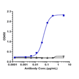 ELISA - Tezepelumab Biosimilar - Anti-TSLP Antibody - Low endotoxin, Azide free (A323777) - Antibodies.com