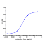 ELISA - Tilavonemab Biosimilar - Anti-Tau Antibody - Low endotoxin, Azide free (A323780) - Antibodies.com