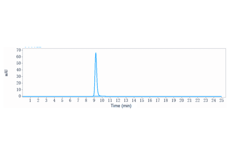 SEC-HPLC - Tilogotamab Biosimilar - Anti-DR5 Antibody - Low endotoxin, Azide free (A323782) - Antibodies.com