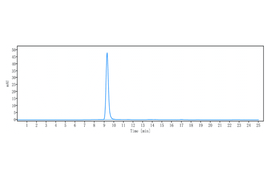 SEC-HPLC - Tilvestamab Biosimilar - Anti-Axl Antibody - Low endotoxin, Azide free (A323784) - Antibodies.com