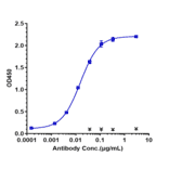 ELISA - Tilvestamab Biosimilar - Anti-Axl Antibody - Low endotoxin, Azide free (A323784) - Antibodies.com