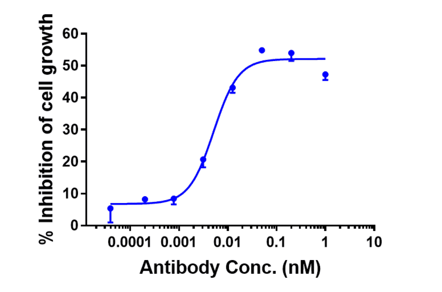 Function:Internalization - Tilvestamab Biosimilar - Anti-Axl Antibody - Low endotoxin, Azide free (A323784) - Antibodies.com