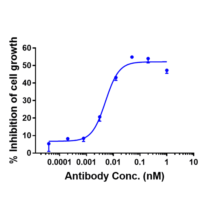 Function:Internalization - Tilvestamab Biosimilar - Anti-Axl Antibody - Low endotoxin, Azide free (A323784) - Antibodies.com