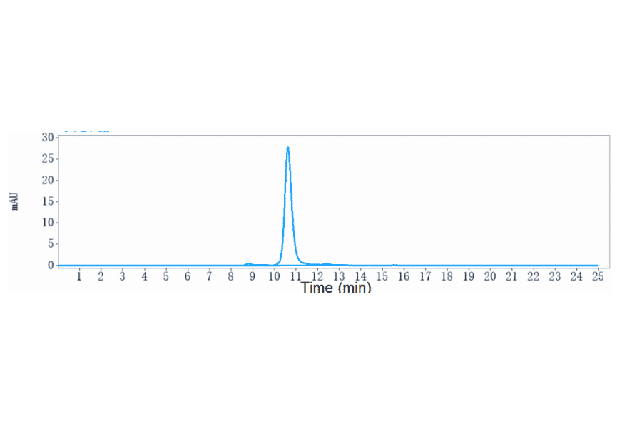 SEC-HPLC - Tinurilimab Biosimilar - Anti-CEACAM6 Antibody - Low endotoxin, Azide free (A323787) - Antibodies.com