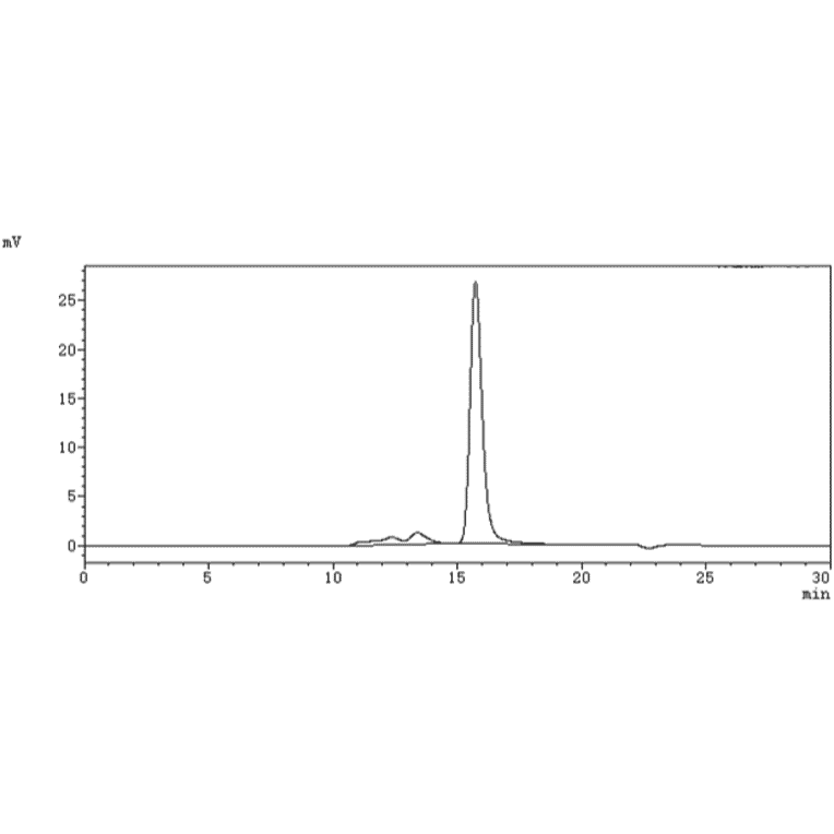 SEC-HPLC - Toripalimab Biosimilar - Anti-PD1 Antibody - Low endotoxin, Azide free (A323795) - Antibodies.com