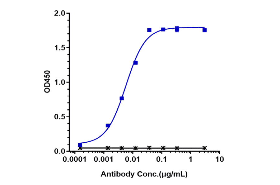 ELISA - Trastuzumab Biosimilar - Anti-ErbB2/HER2 Antibody - Low endotoxin, Azide free (A323803) - Antibodies.com