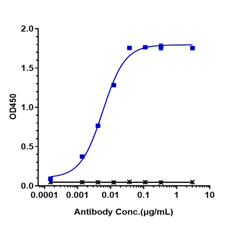ELISA - Trastuzumab Biosimilar - Anti-ErbB2/HER2 Antibody - Low endotoxin, Azide free (A323803) - Antibodies.com