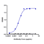 ELISA - Trastuzumab Biosimilar - Anti-ErbB2/HER2 Antibody - Low endotoxin, Azide free (A323803) - Antibodies.com