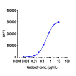 FACS - Trastuzumab Biosimilar - Anti-ErbB2/HER2 Antibody - Low endotoxin, Azide free (A323803) - Antibodies.com