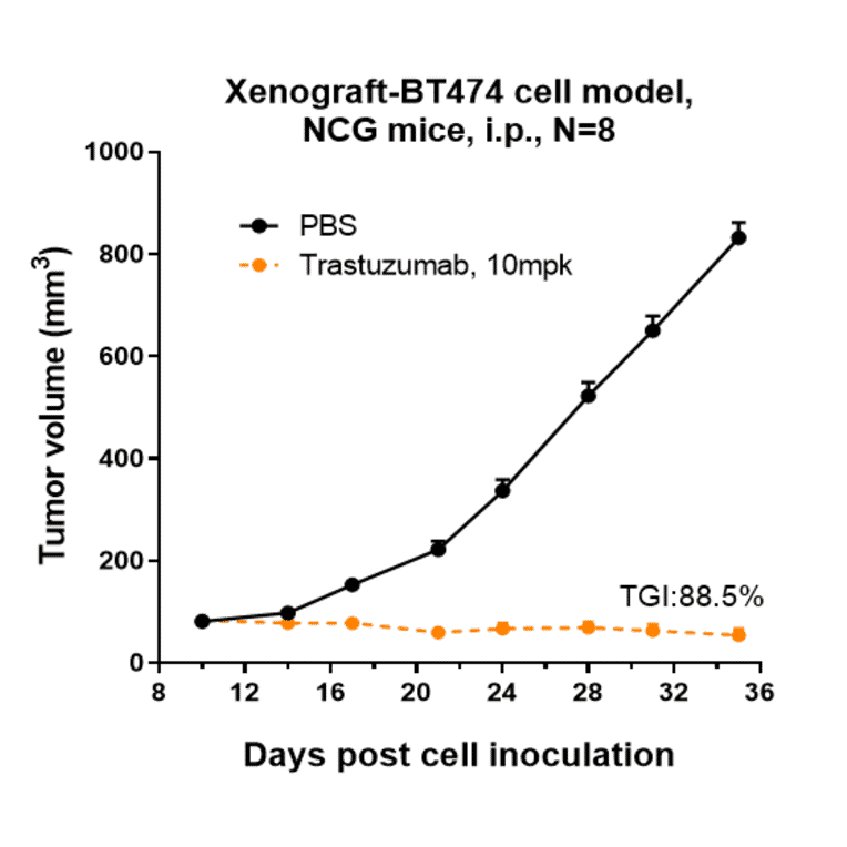 Research in vivo - Trastuzumab Biosimilar - Anti-ErbB2/HER2 Antibody - Low endotoxin, Azide free (A323803) - Antibodies.com
