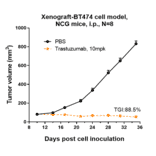 Research in vivo - Trastuzumab Biosimilar - Anti-ErbB2/HER2 Antibody - Low endotoxin, Azide free (A323803) - Antibodies.com