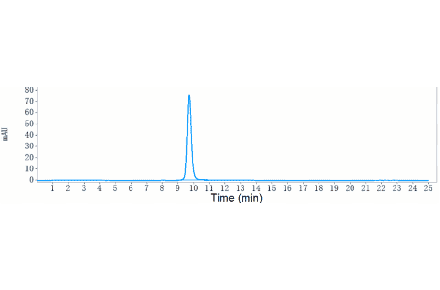 SEC-HPLC - Tremelimumab Biosimilar - Anti-CTLA4 Antibody - Low endotoxin, Azide free (A323805) - Antibodies.com