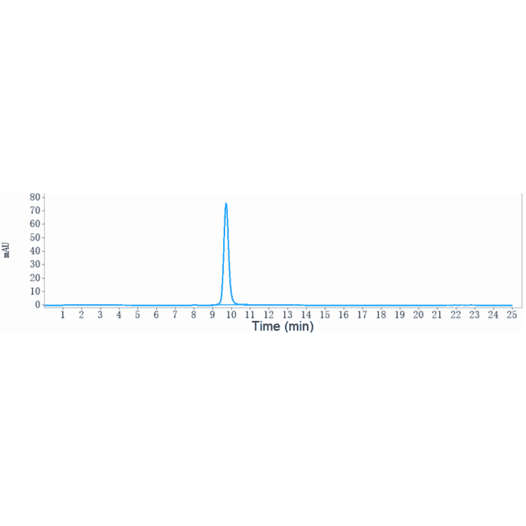 SEC-HPLC - Tremelimumab Biosimilar - Anti-CTLA4 Antibody - Low endotoxin, Azide free (A323805) - Antibodies.com