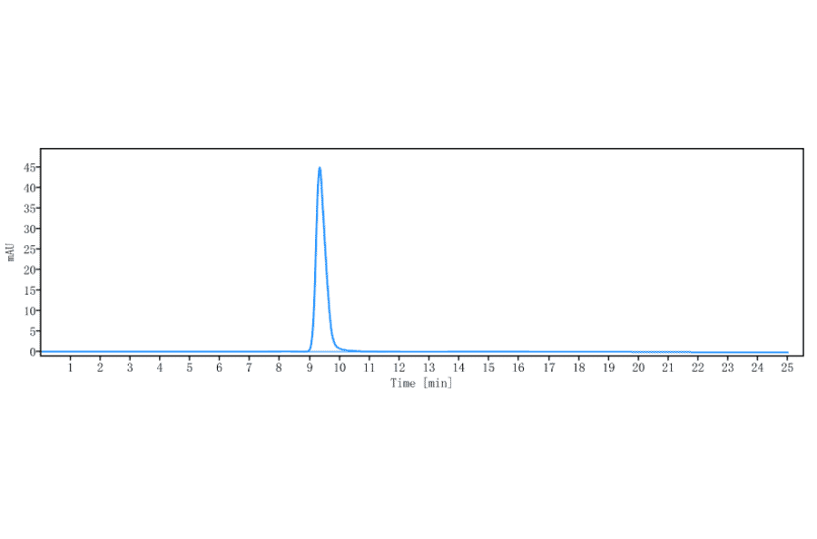 SEC-HPLC - Tusamitamab Biosimilar - Anti-CEACAM5 Antibody - Low endotoxin, Azide free (A323808) - Antibodies.com
