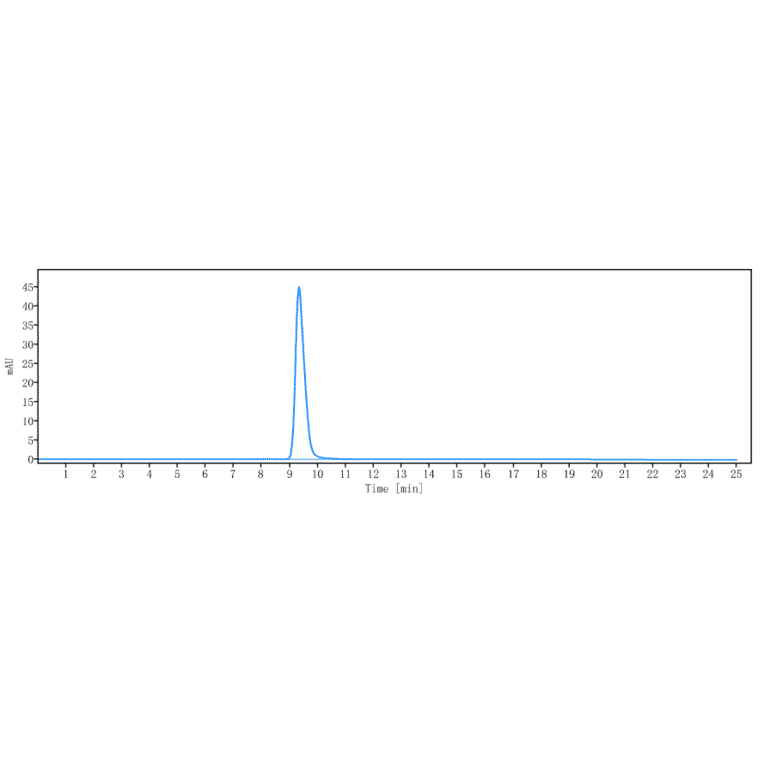 SEC-HPLC - Tusamitamab Biosimilar - Anti-CEACAM5 Antibody - Low endotoxin, Azide free (A323808) - Antibodies.com