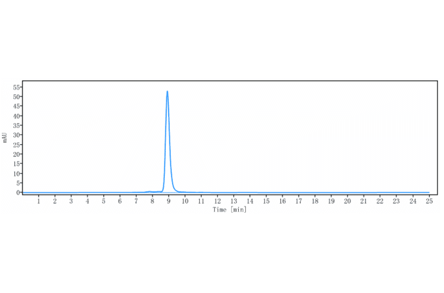 SEC-HPLC - Ublituximab Biosimilar - Anti-CD20 Antibody - Low endotoxin, Azide free (A323809) - Antibodies.com