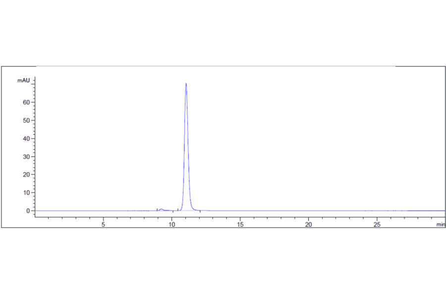 SEC-HPLC - Uliledlimab Biosimilar - Anti-CD73 Antibody - Low endotoxin, Azide free (A323810) - Antibodies.com