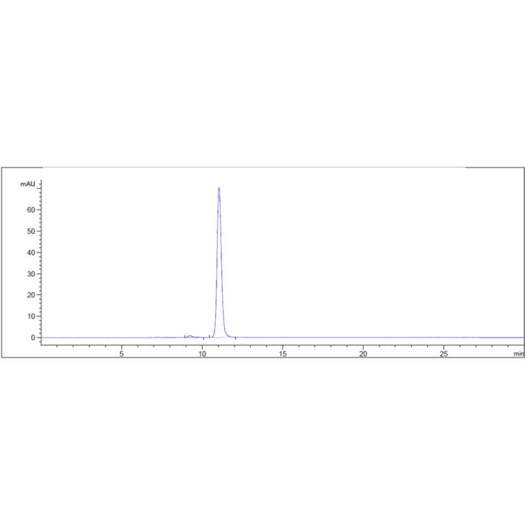 SEC-HPLC - Uliledlimab Biosimilar - Anti-CD73 Antibody - Low endotoxin, Azide free (A323810) - Antibodies.com