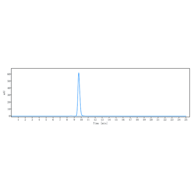 SEC-HPLC - Urabrelimab Biosimilar - Anti-CD47 Antibody - Low endotoxin, Azide free (A323814) - Antibodies.com