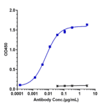 ELISA - Utomilumab Biosimilar - Anti-CD137 Antibody - Low endotoxin, Azide free (A323816) - Antibodies.com