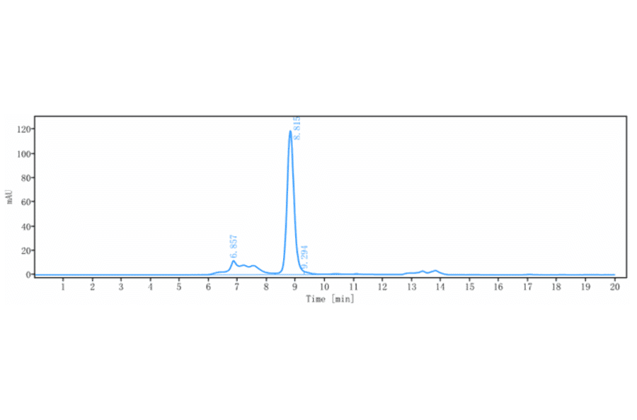 SEC-HPLC - Vandortuzumab Biosimilar - Anti-STEAP1 Antibody - Low endotoxin, Azide free (A323819) - Antibodies.com