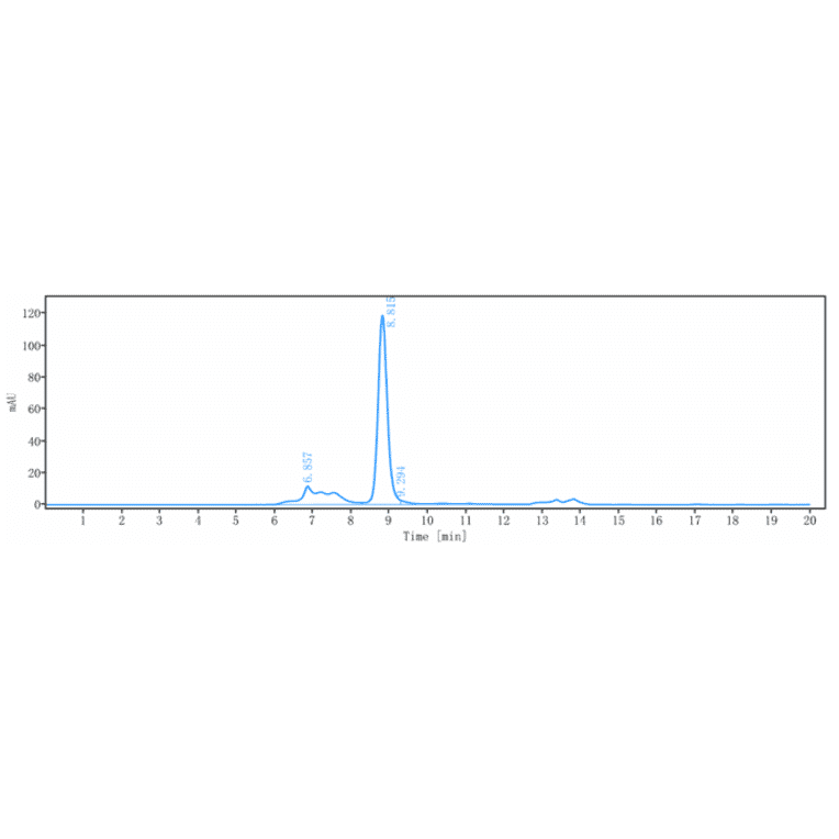 SEC-HPLC - Vandortuzumab Biosimilar - Anti-STEAP1 Antibody - Low endotoxin, Azide free (A323819) - Antibodies.com
