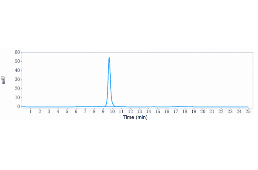 SEC-HPLC - Vedolizumab Biosimilar - Anti-Integrin alpha 4 + beta 7 Antibody - Low endotoxin, Azide free (A323824) - Antibodies.com