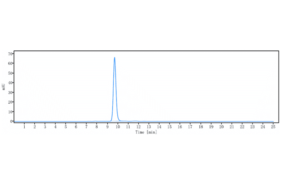 SEC-HPLC - Vesencumab Biosimilar - Anti-Neuropilin 1 Antibody - Low endotoxin, Azide free (A323826) - Antibodies.com